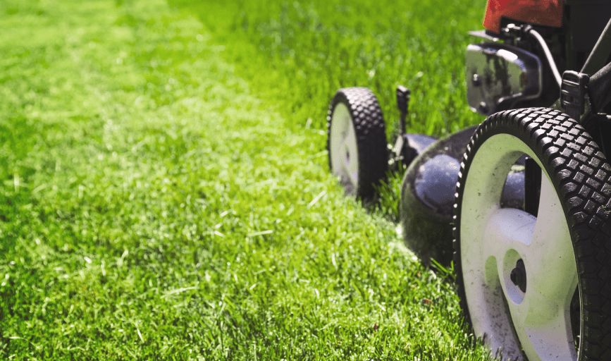 Chandra's Lawn and Landscaping 